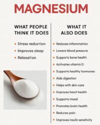 Everything To Know About Magnesium In Your Diet