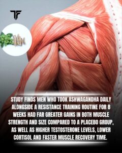 ashwagandha.jpg