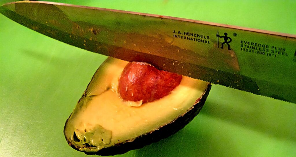 Avocados have long been celebrated as a nutritional powerhouse, but the often-discarded seed is emerging as a hidden gem of wellness and sustainability. What many people consider waste is actually a treasure trove of health-promoting compounds and potential environmental solutions.