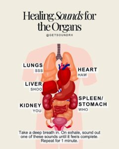 The Connection Between Frequencies, Emotions, Sounds, and the Human Body 8 20260131 215834