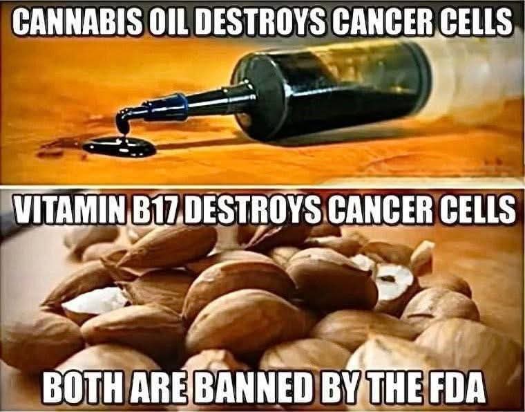 FB IMG 1769540896338