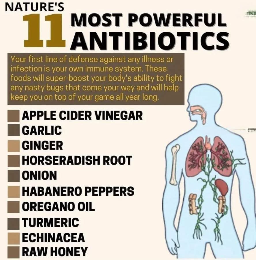 FB IMG 1769541507505