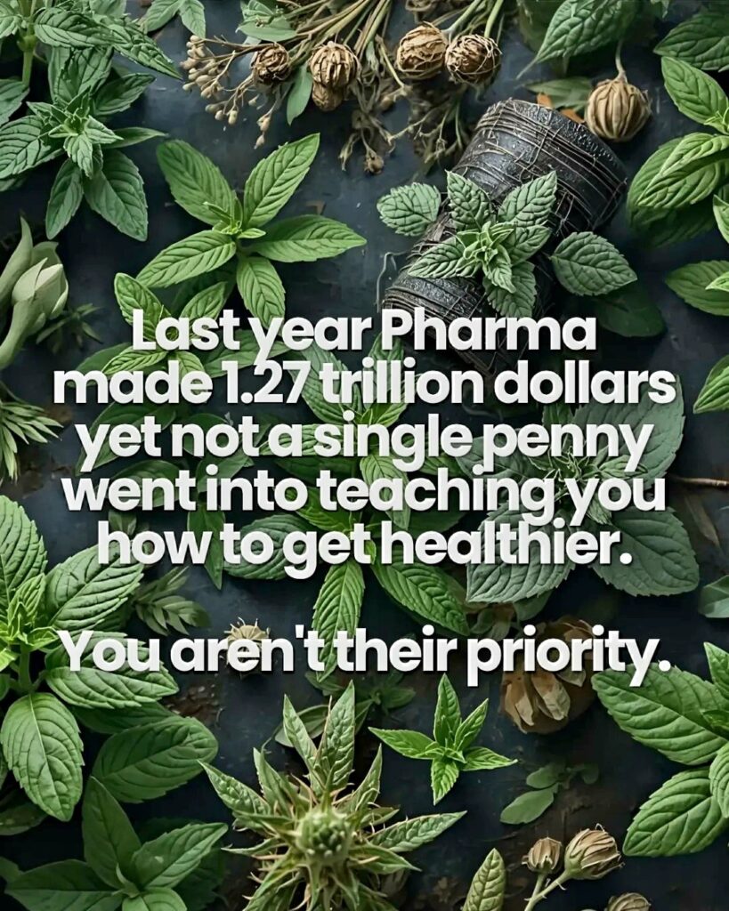 FB IMG 1770252232350