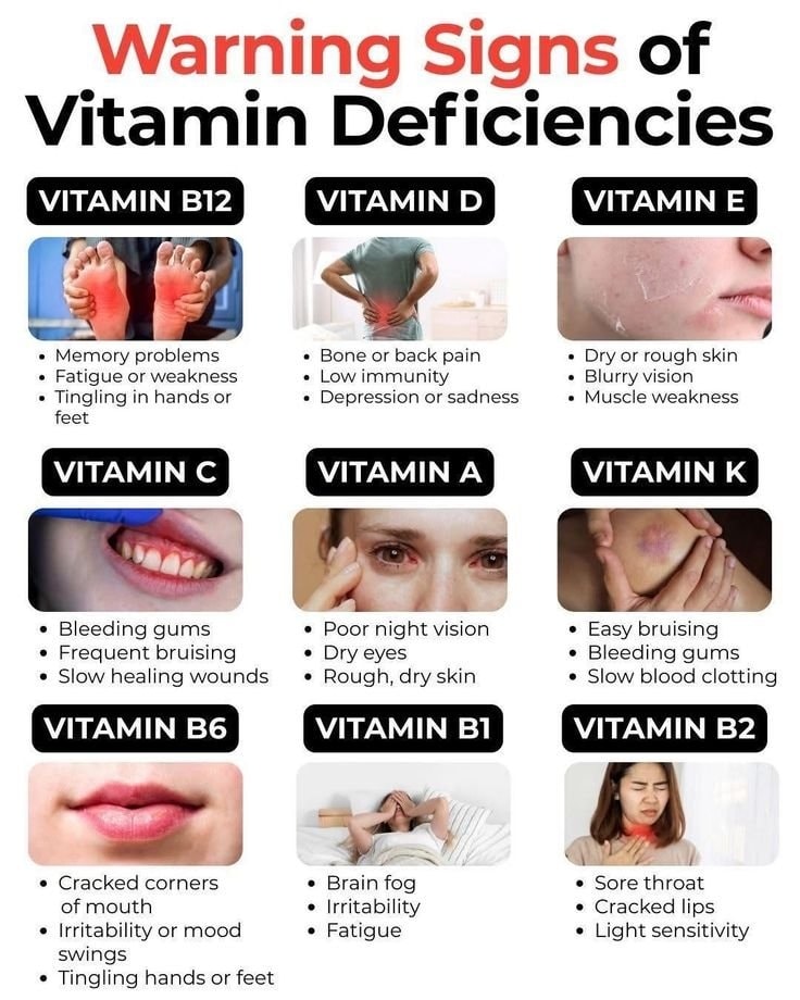 FB IMG 1771764777443