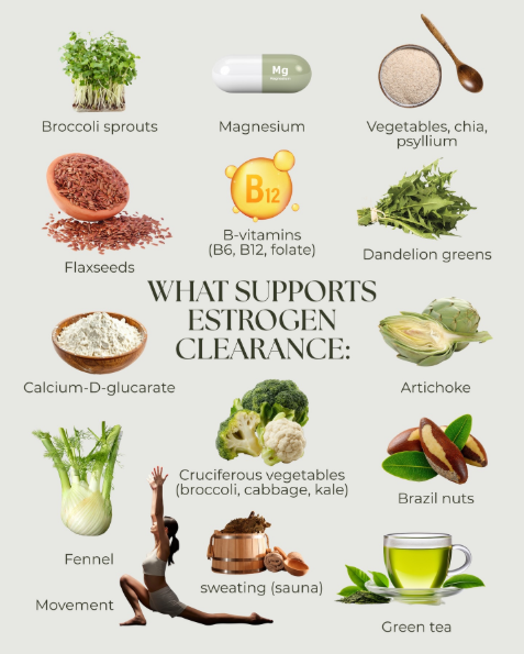 Think of estrogen metabolism like a three-stage exit system 6 20260314 142242