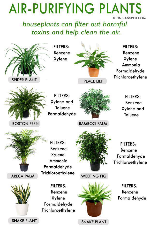 PLANTS MATTER. 2 20260318 230405