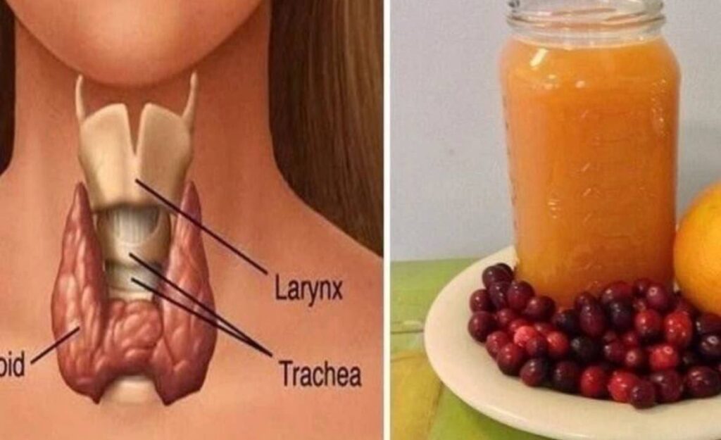 A Drink to Renew Your Thyroid & Boost Your Health 15 20260320 211047