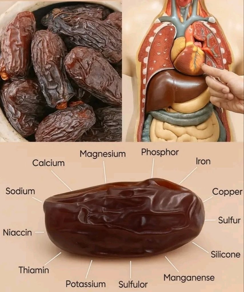 Dates: A Nutrient-Dense Superfruit and Its Impact on Human Health 1 FB IMG 1772350763404